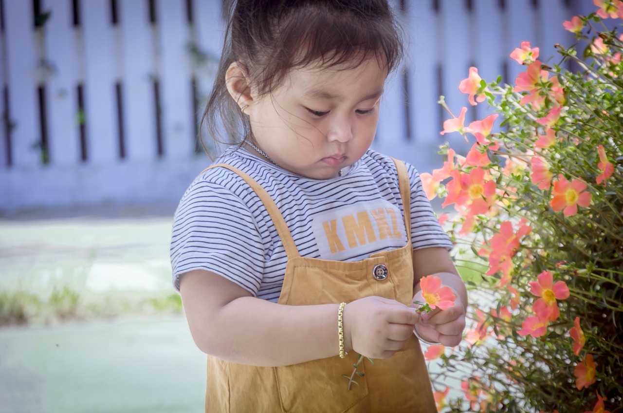 小孕妈供卵生的宝宝懂礼貌儿歌（儿歌懂礼貌）